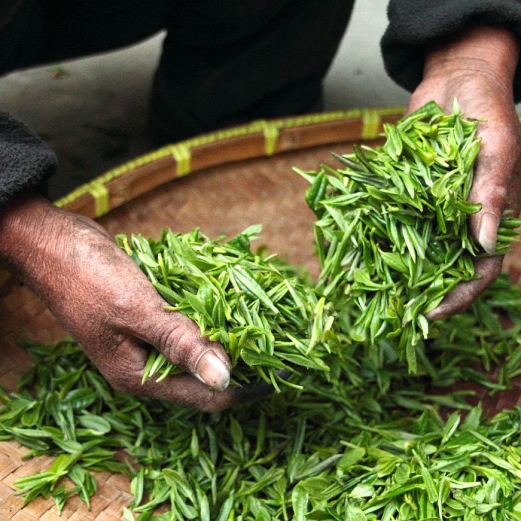 Vietnamese tea